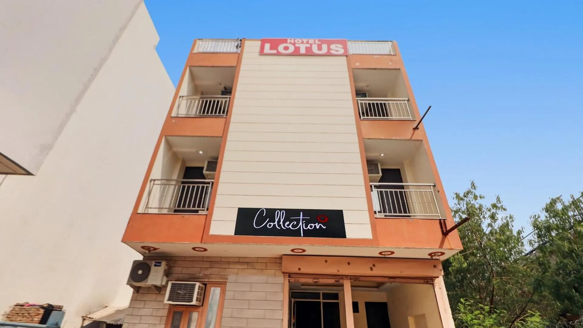 Hotel O Lotus New Delhi